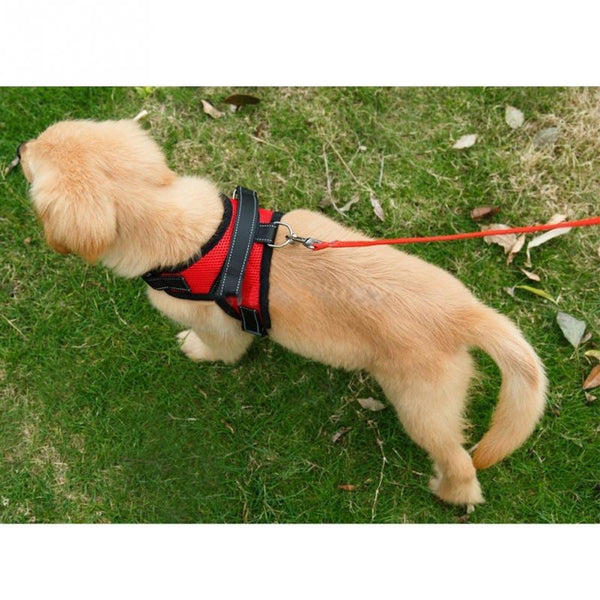 Adjustable Dog Harness Vest