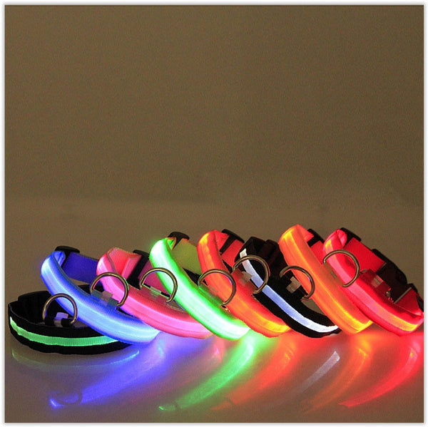 Dog Reflective LED Collar For Safety and Visibility