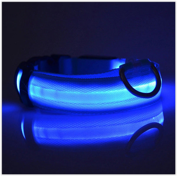 Dog Reflective LED Collar For Safety and Visibility