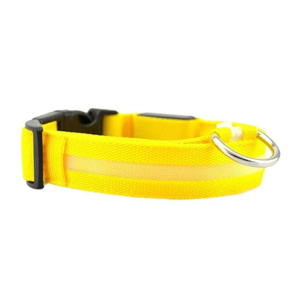 Dog Reflective LED Collar For Safety and Visibility