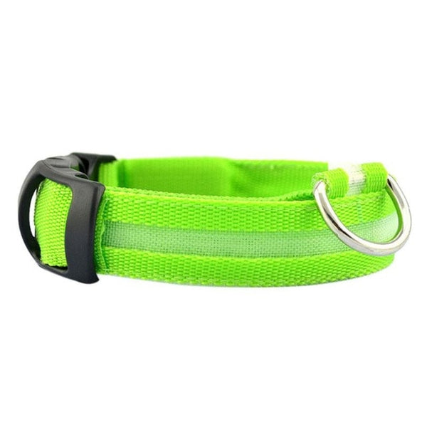 Dog Reflective LED Collar For Safety and Visibility