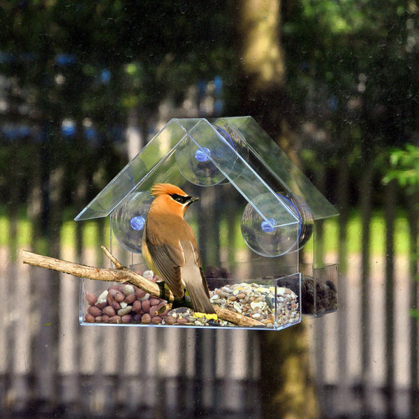 Clear Window Bird Feeder