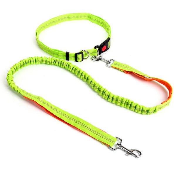 Waist Belt Jogging Leash For Dogs