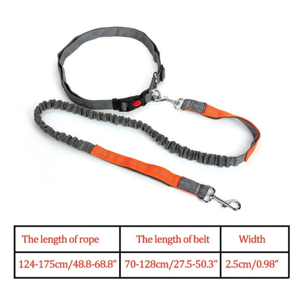 Waist Belt Jogging Leash For Dogs