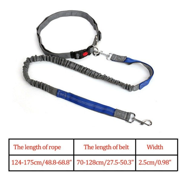 Waist Belt Jogging Leash For Dogs