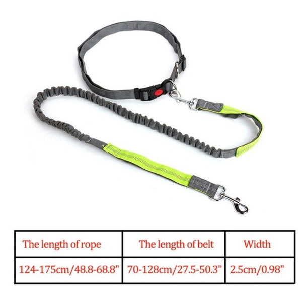 Waist Belt Jogging Leash For Dogs