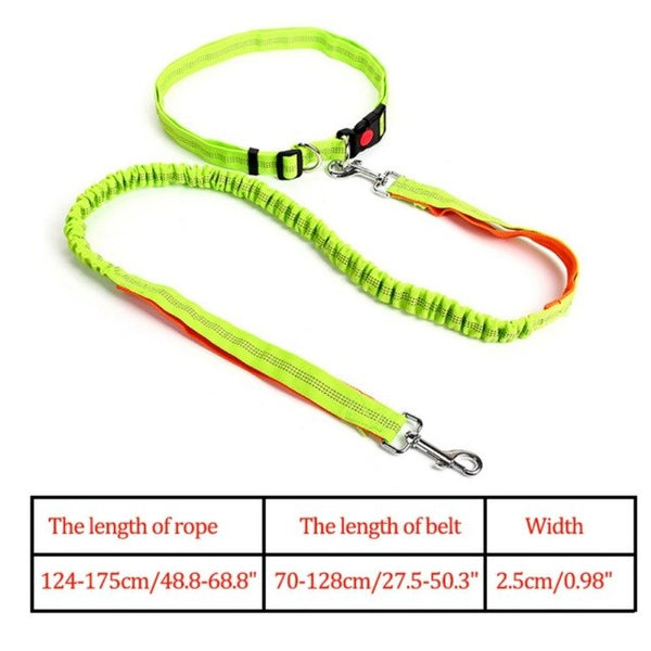 Waist Belt Jogging Leash For Dogs