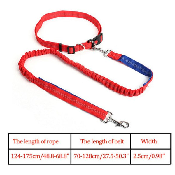 Waist Belt Jogging Leash For Dogs