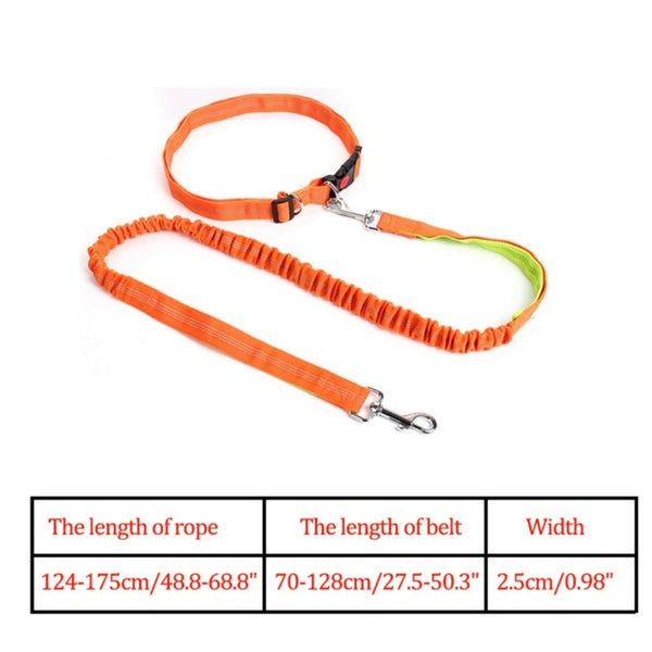 Waist Belt Jogging Leash For Dogs