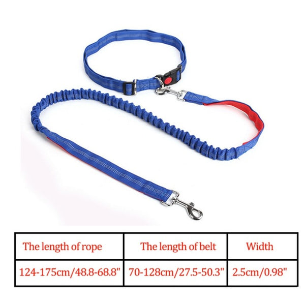 Waist Belt Jogging Leash For Dogs