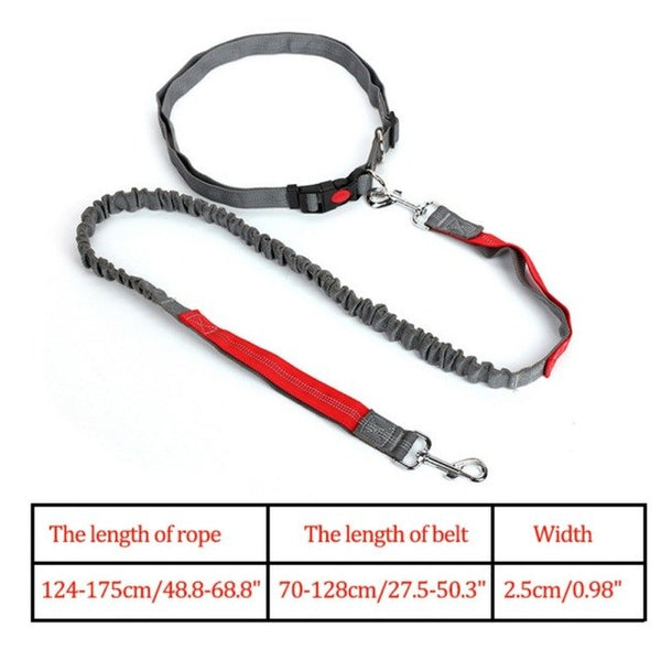 Waist Belt Jogging Leash For Dogs